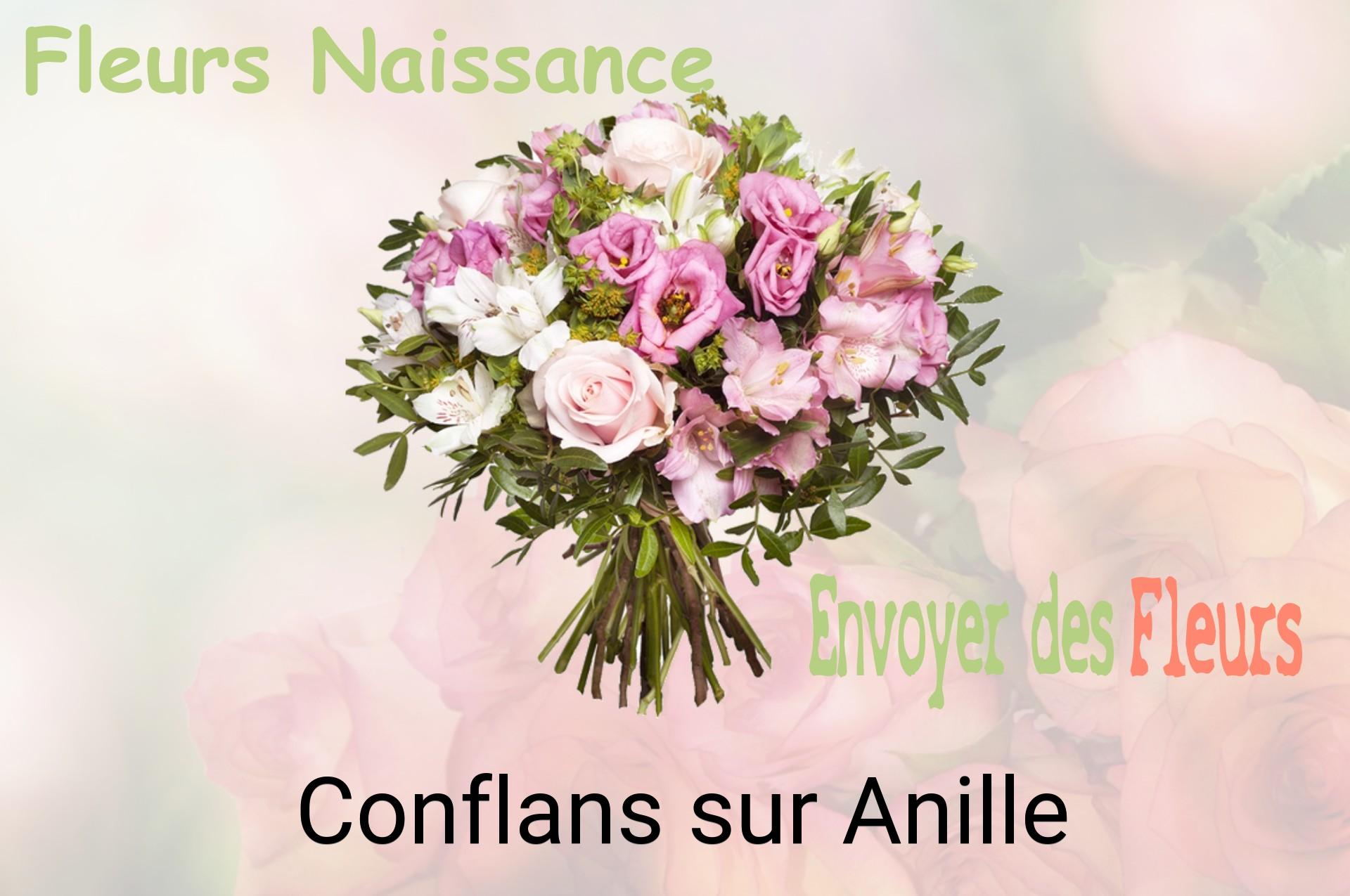 Bouquet de fleurs de naissance livré à Conflans-sur-Anille